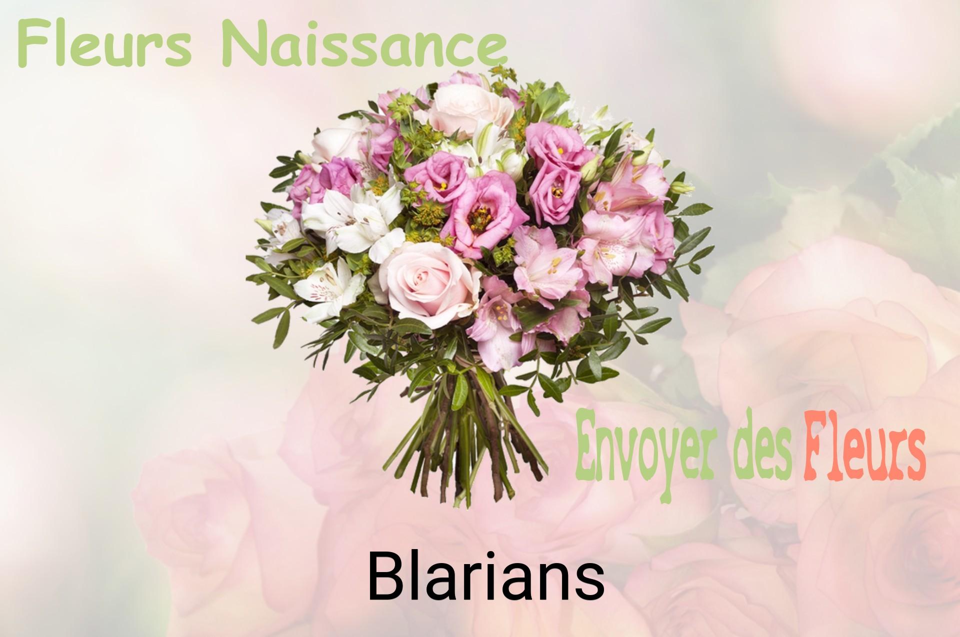 Bouquet de fleurs de naissance livré à Blarians